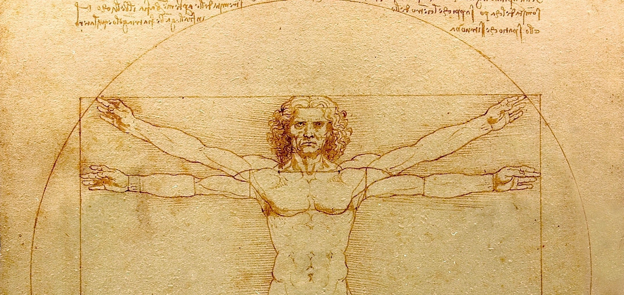 Vitruvian Man - Leonardo da Vinci (partial)