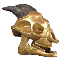 Golden Orcus Skull