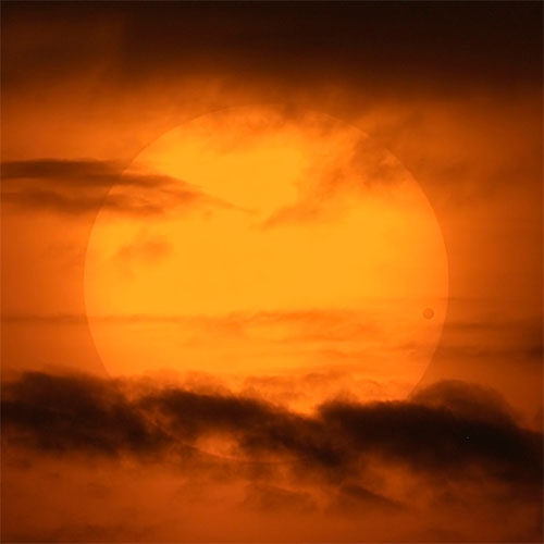 Transit of Venus - David Cortner