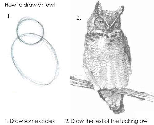How to Draw an Owl - Draw the Rest of the Fucking Owl