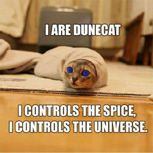 I Are Dunecat